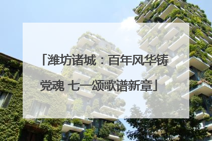 潍坊诸城：百年风华铸党魂 七一颂歌谱新章