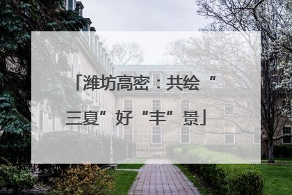 潍坊高密：共绘“三夏”好“丰”景
