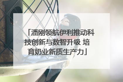 潘刚领航伊利推动科技创新与数智升级 培育奶业新质生产力