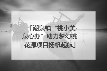 潮泉镇“桃小美·泉心办”助力梦幻桃花源项目扬帆起航