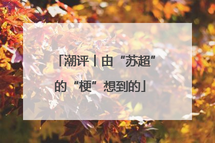 潮评丨由“苏超”的“梗”想到的
