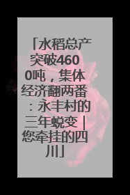 水稻总产突破4600吨，集体经济翻两番：永丰村的三年蜕变｜您牵挂的四川
