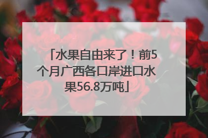 水果自由来了！前5个月广西各口岸进口水果56.8万吨