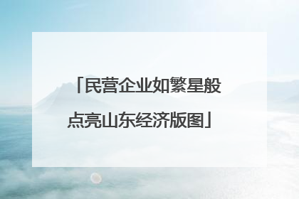 民营企业如繁星般点亮山东经济版图