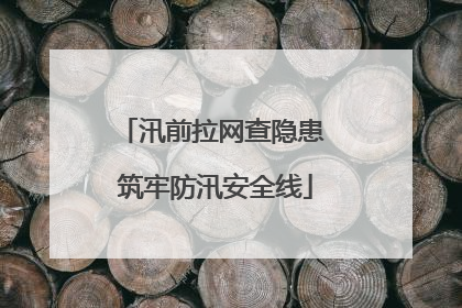 汛前拉网查隐患 筑牢防汛安全线