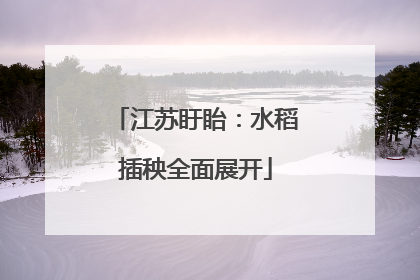 江苏盱眙：水稻插秧全面展开