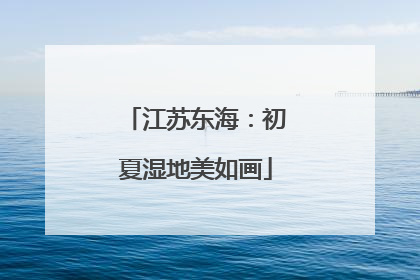江苏东海：初夏湿地美如画
