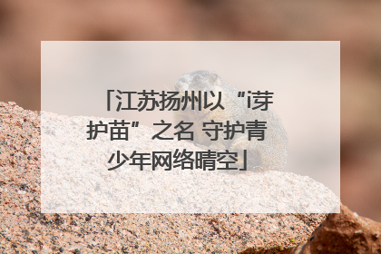 江苏扬州以“i芽护苗”之名 守护青少年网络晴空