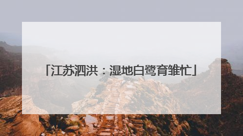 江苏泗洪：湿地白鹭育雏忙