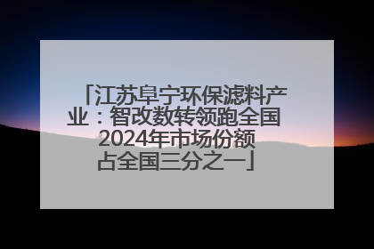 江苏阜宁环保滤料产业：智改数转领跑全国 2024年市场份额占全国三分之一