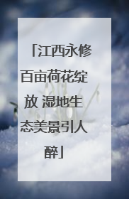 江西永修百亩荷花绽放 湿地生态美景引人醉