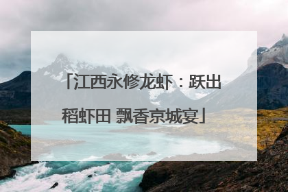江西永修龙虾：跃出稻虾田 飘香京城宴