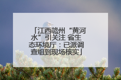 江西赣州“黄河水”引关注 省生态环境厅：已派调查组到现场核实
