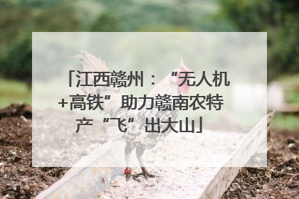 江西赣州：“无人机+高铁”助力赣南农特产“飞”出大山