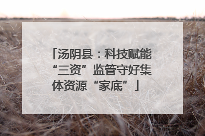 汤阴县：科技赋能“三资”监管守好集体资源“家底”