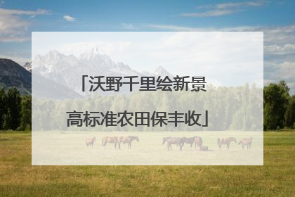 沃野千里绘新景 高标准农田保丰收