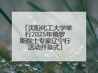 沈阳化工大学举行2025年俄罗斯院士专家辽宁行活动开幕式