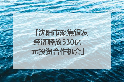 沈阳市聚焦银发经济释放530亿元投资合作机会