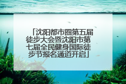 沈阳都市圈第五届徒步大会暨沈阳市第七届全民健身国际徒步节报名通道开启