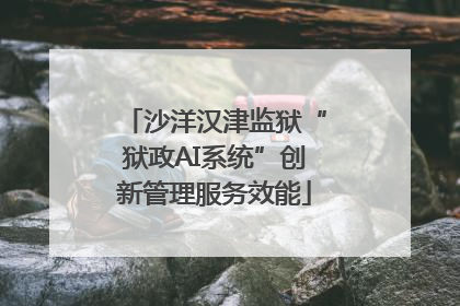 沙洋汉津监狱“狱政AI系统”创新管理服务效能