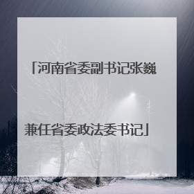 河南省委副书记张巍兼任省委政法委书记