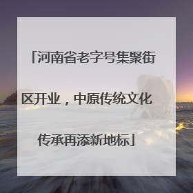 河南省老字号集聚街区开业，中原传统文化传承再添新地标