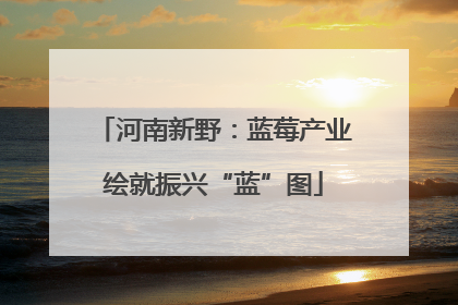 河南新野：蓝莓产业绘就振兴“蓝”图