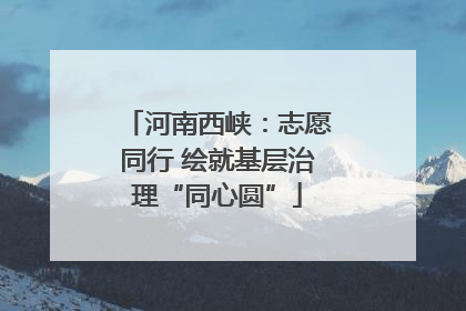 河南西峡：志愿同行 绘就基层治理“同心圆”