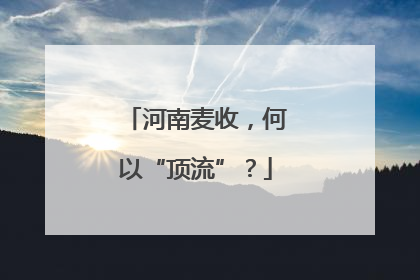 河南麦收，何以“顶流”？