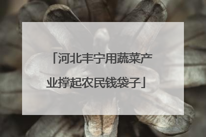 河北丰宁用蔬菜产业撑起农民钱袋子