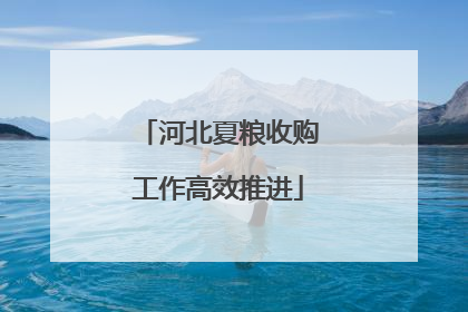 河北夏粮收购工作高效推进