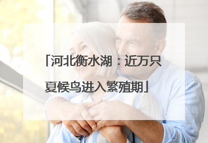 河北衡水湖：近万只夏候鸟进入繁殖期
