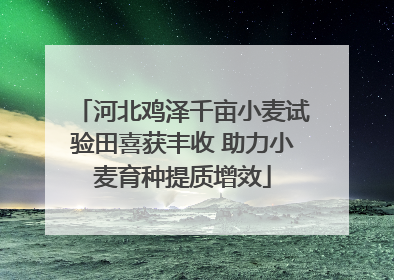 河北鸡泽千亩小麦试验田喜获丰收 助力小麦育种提质增效