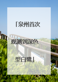 泉州首次观测到深色型白鹭