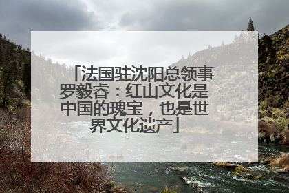 法国驻沈阳总领事罗毅睿：红山文化是中国的瑰宝，也是世界文化遗产