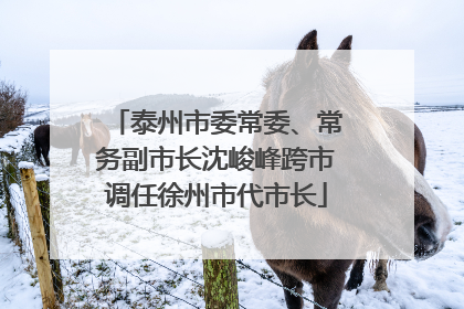 泰州市委常委、常务副市长沈峻峰跨市调任徐州市代市长