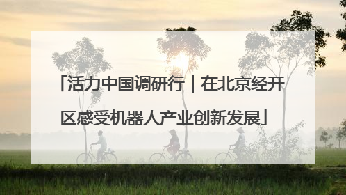活力中国调研行｜在北京经开区感受机器人产业创新发展