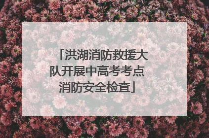 洪湖消防救援大队开展中高考考点消防安全检查