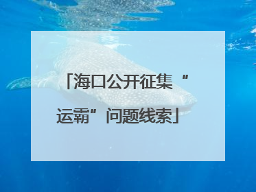 海口公开征集“运霸”问题线索