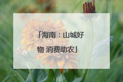海南：山城好物 消费助农