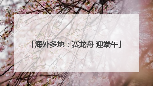 海外多地：赛龙舟 迎端午