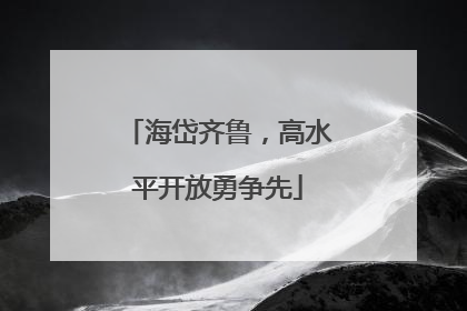 海岱齐鲁，高水平开放勇争先