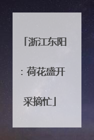 浙江东阳：荷花盛开采摘忙