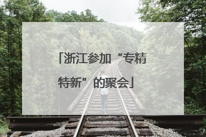 浙江参加“专精特新”的聚会