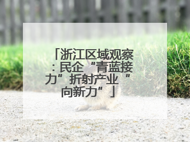 浙江区域观察：民企“青蓝接力”折射产业“向新力”