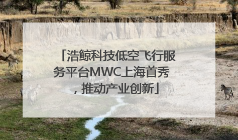 浩鲸科技低空飞行服务平台MWC上海首秀，推动产业创新