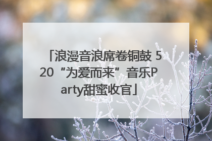 浪漫音浪席卷铜鼓 520“为爱而来”音乐Party甜蜜收官