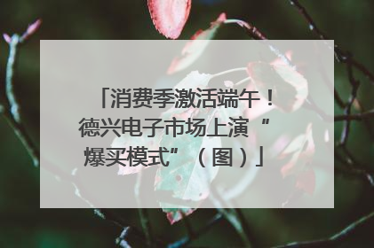 消费季激活端午！德兴电子市场上演“爆买模式”（图）