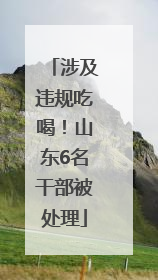 涉及违规吃喝！山东6名干部被处理
