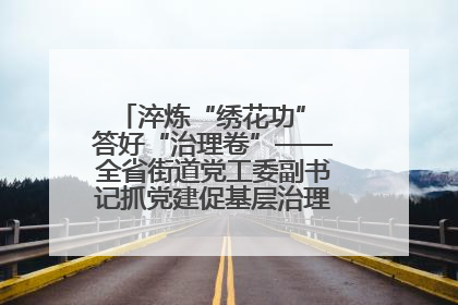淬炼“绣花功” 答好“治理卷”——全省街道党工委副书记抓党建促基层治理培训示范班侧记